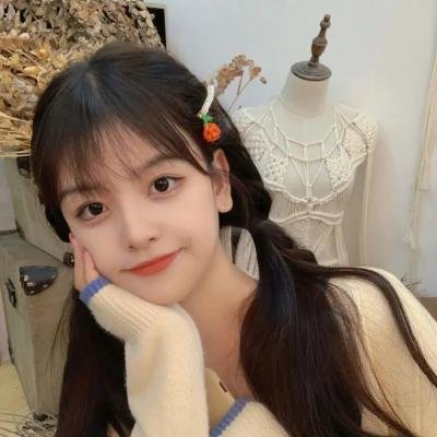 孤鸟罗宾